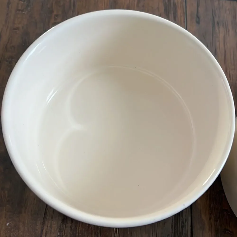 Rae Dunn Devour and Munch Pet Dish / bowl both like new never used for pet food